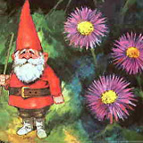Fairytale creatures - Gnomes
